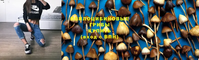 Псилоцибиновые грибы Magic Shrooms Красноармейск